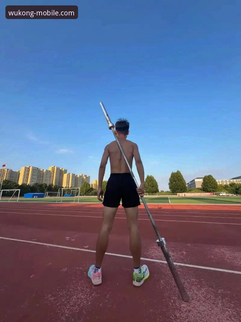 悟空体育专业数据深度解析:从新手到高手的完整使用指南